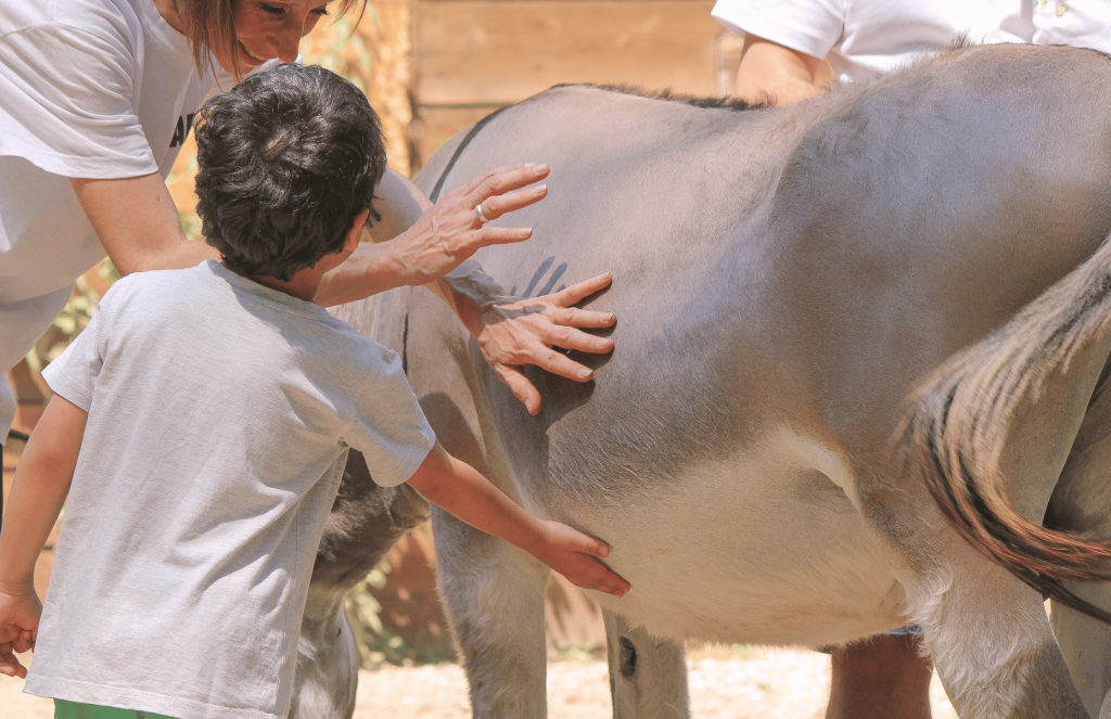 Pet Therapy (IAA) Tecniche e Benefici